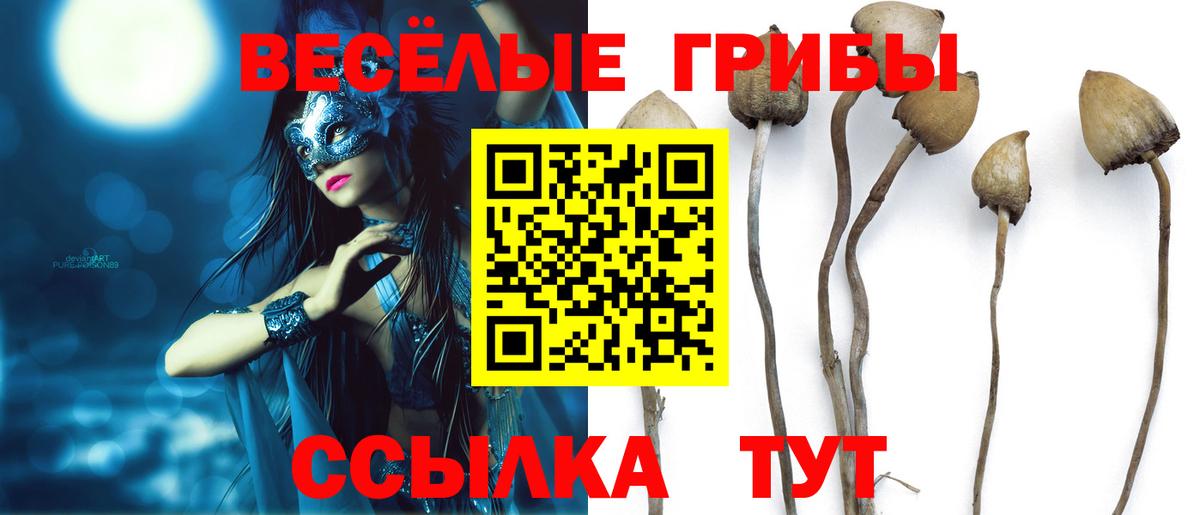 Псилоцибиновые грибы прущие грибы  Вход с VPN  наркошоп  Полевской 